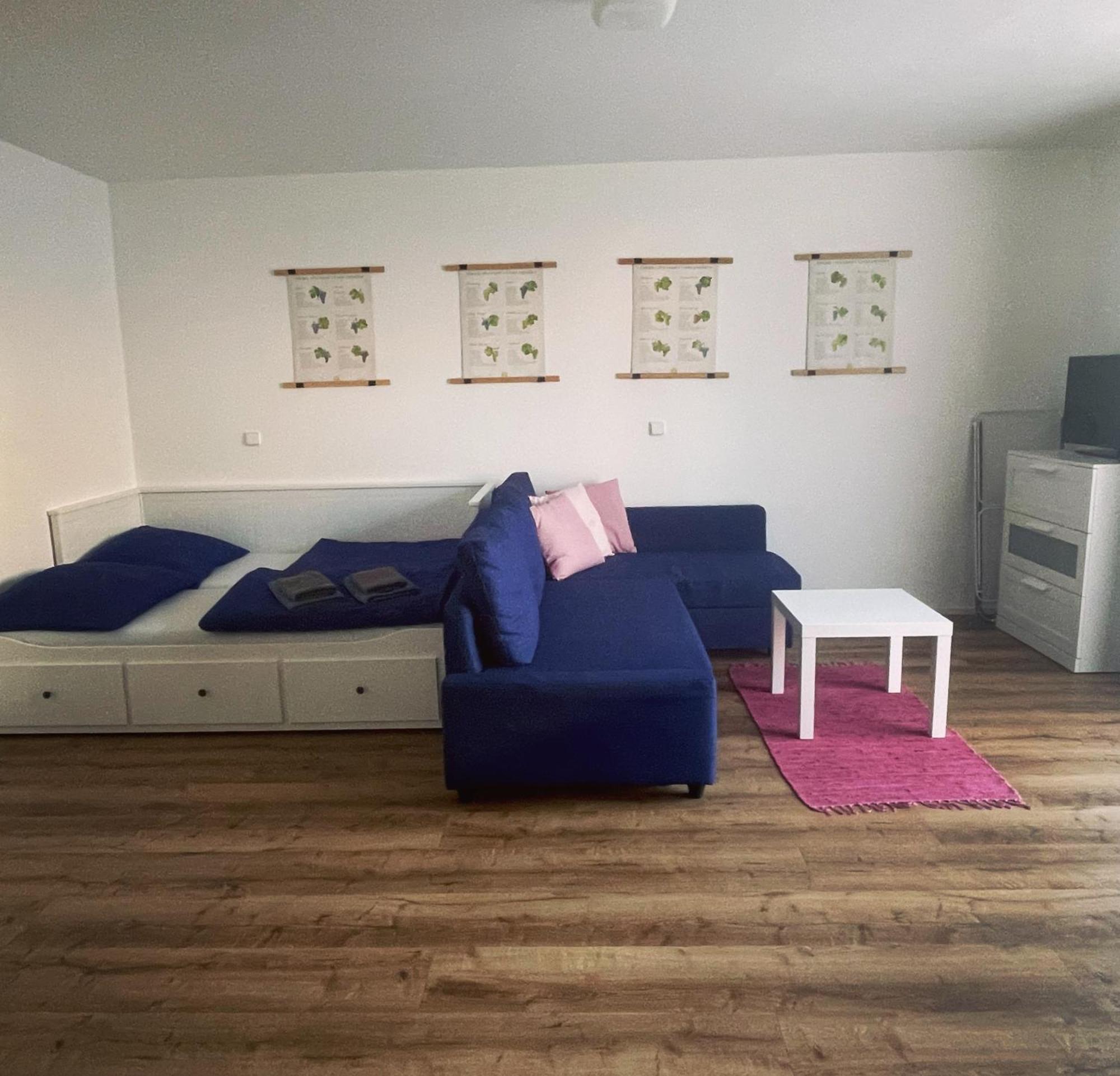 Palavske Domky Apartment ปาโซฮาฟกี ภายนอก รูปภาพ
